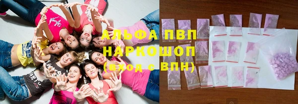 прущие грибы Алексин