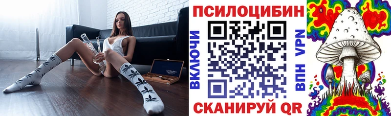 наркотики  Михайловск  Псилоцибиновые грибы мицелий 
